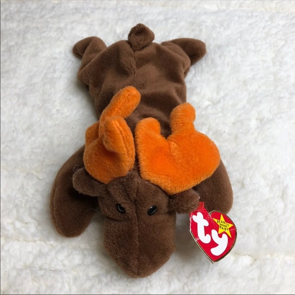 Ty Original Wear Toys 3 Beanie Baby Chocolate Moose Stuffed Animal Poshmark
